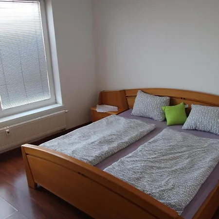 公寓 Halex Centrum Aupark 皮耶什佳尼